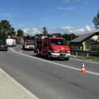 Fotka nr 4 z 10