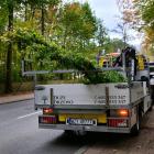 Fotka nr 3 z 16