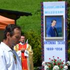 zdjęcie nr 19