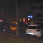 zdjęcie nr 9