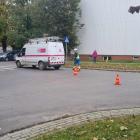 Fotka nr 5 z 7