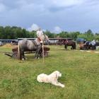 IMG_20210711_171150