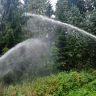 IMG_20200906_143818
