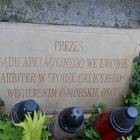 zdjęcie nr 13
