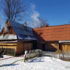 zdjęcie nr 7
