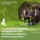 Fotka nr 3 z 12