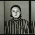 zdjęcie nr 73