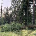 Fotka nr 5 z 9