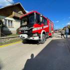 Fotka nr 5 z 12