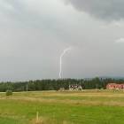 zdjęcie nr 8