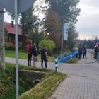 zdjęcie nr 8