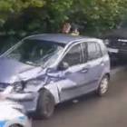 Fotka nr 2 z 5