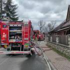 Fotka nr 2 z 6