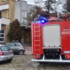 Fotka nr 4 z 5