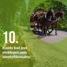 zdjęcie nr 10