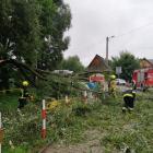 zdjęcie nr 7