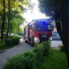 zdjęcie nr 11