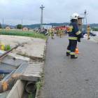 Fotka nr 1 z 17