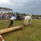 IMG_20210711_171925