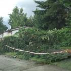 zdjęcie nr 26