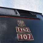 Fotka nr 4 z 36