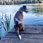 FB_IMG_1615399213240__01