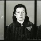 Fotka nr 5 z 81