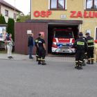 zdjęcie nr 12