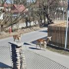 zdjęcie nr 7
