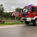 Fotka nr 1 z 3