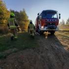 Fotka nr 5 z 8