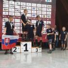 zdjęcie nr 13