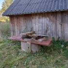 zdjęcie nr 11