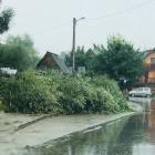 zdjęcie nr 8