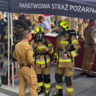 Fotka nr 5 z 7