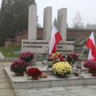 zdjęcie nr 21