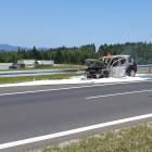 Fotka nr 2 z 5