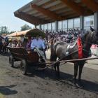 zdjęcie nr 154