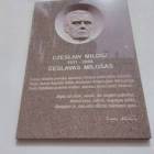 zdjęcie nr 24