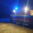 Fotka nr 1 z 2