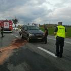 zdjęcie nr 13