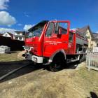 Fotka nr 2 z 12