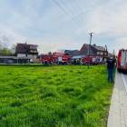Fotka nr 4 z 17