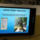 zdjęcie nr 23