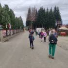 zdjęcie nr 15