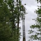 Fotka nr 4 z 10