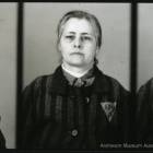 Fotka nr 3 z 81