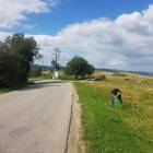 zdjęcie nr 7