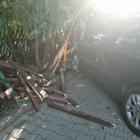 118807653_619772068733631_1513705054805915127_n