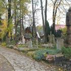 zdjęcie nr 9